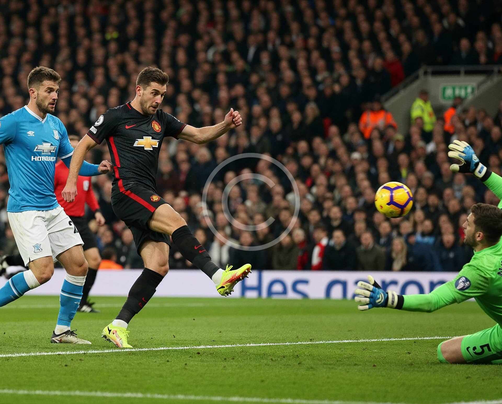 custom-img-87-copyright